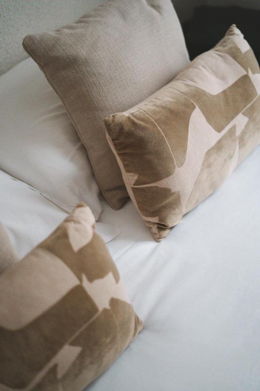 Standard Twin Room image 3