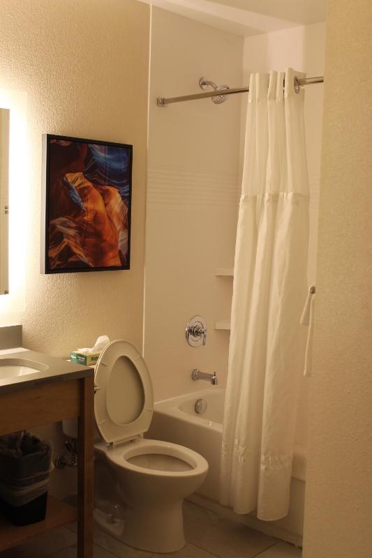 Superior King Suite - Non-Smoking image 3