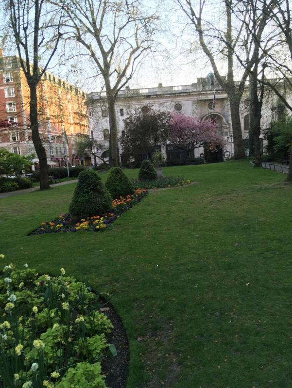 One-Bedroom Apartment image 2