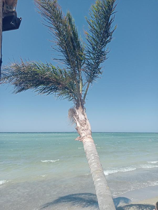 Location turistica Corinne - image 10