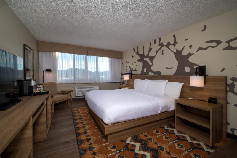 Standard King Room with Mountain View image 3