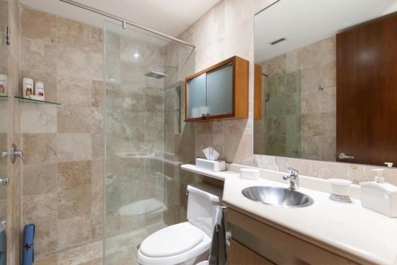 Mi casa #2 at Polanco's most exclusive area - image 18