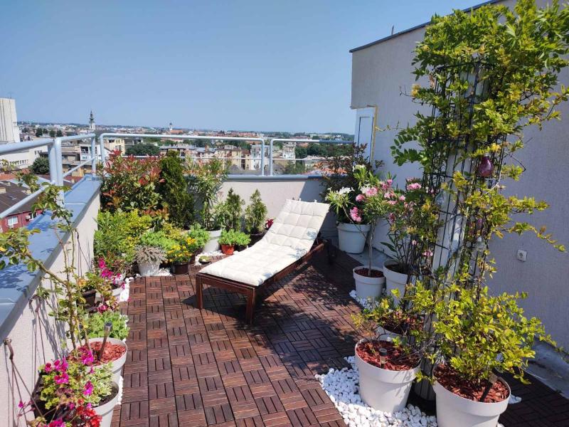Penthouse apartment - image 7