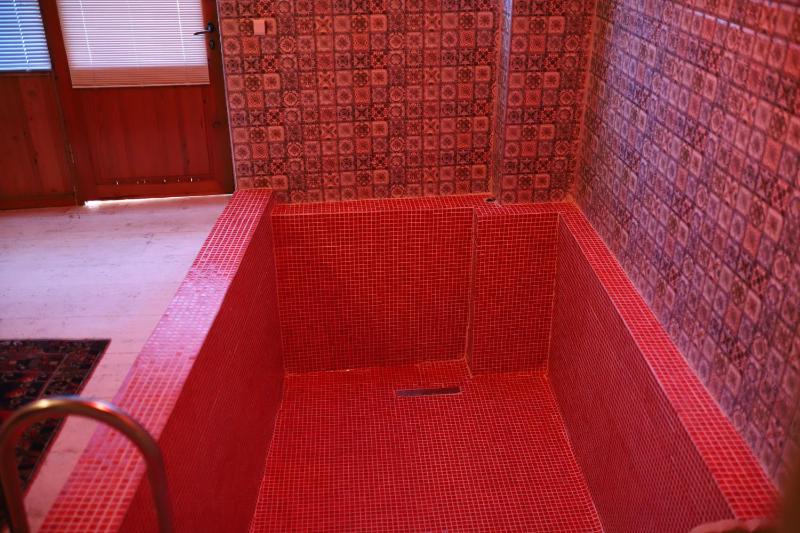 Suite with Private Pool image 1