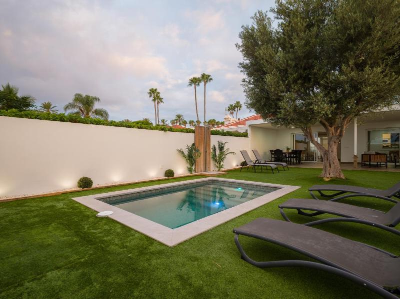 Pasito Blanco Villas - image 19