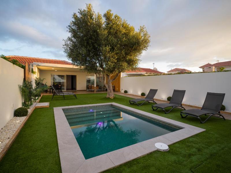 Pasito Blanco Villas - image 25