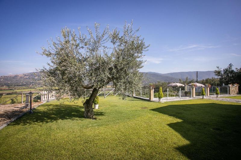 Villa Chiara - image 24