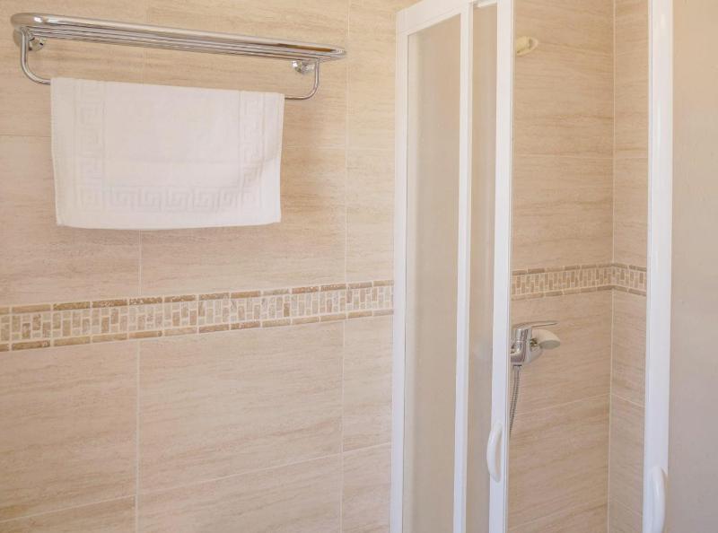 One-Bedroom Apartment image 4