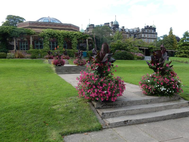 Springdale Guest House - image 24