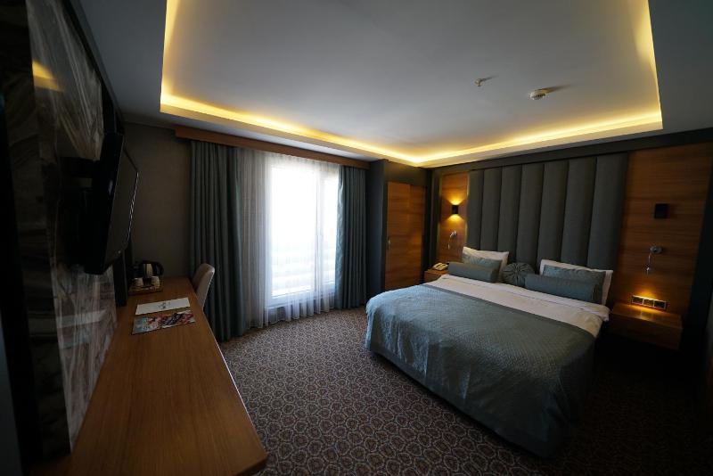 Double or Twin Room image 4