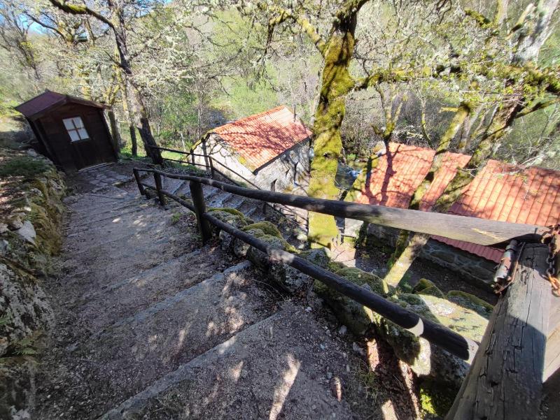 One-Bedroom Chalet image 4