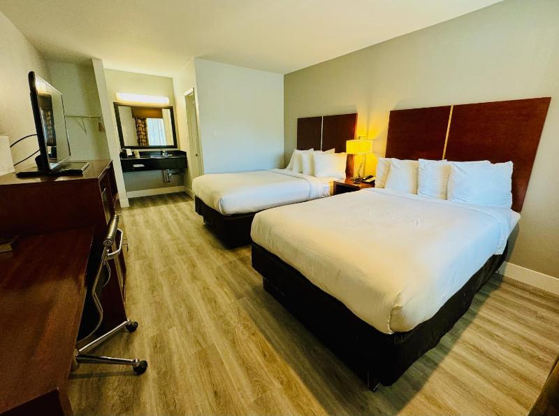 Quadruple Room - Non-Smoking image 1
