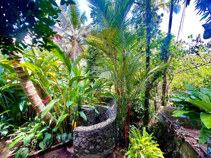 Jungle Fence - image 5