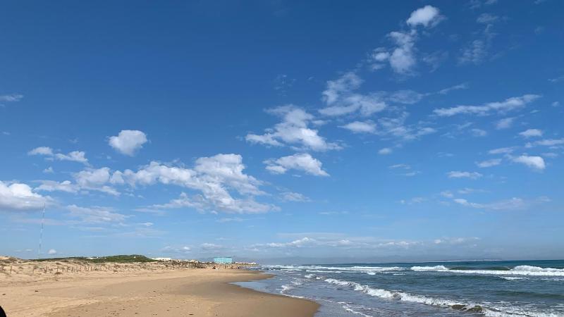Puerto Romano 21 - image 6