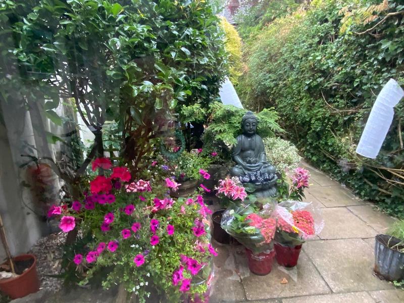 Double Room with Garden View image 2