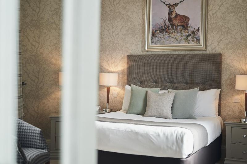 Superior King Room image 4