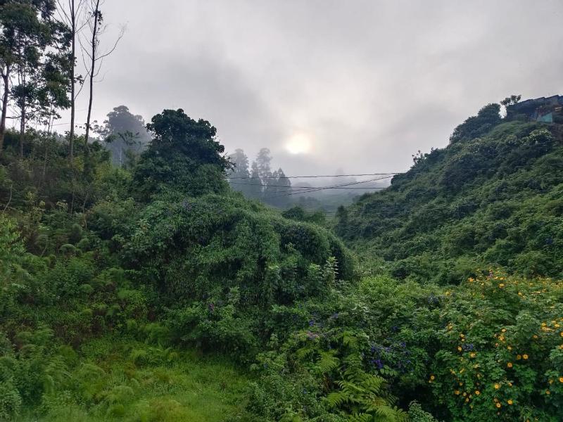 Pavithra Home stay munnar - image 13