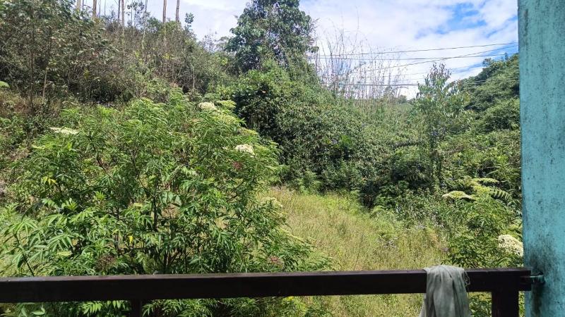 Pavithra Home stay munnar - image 3