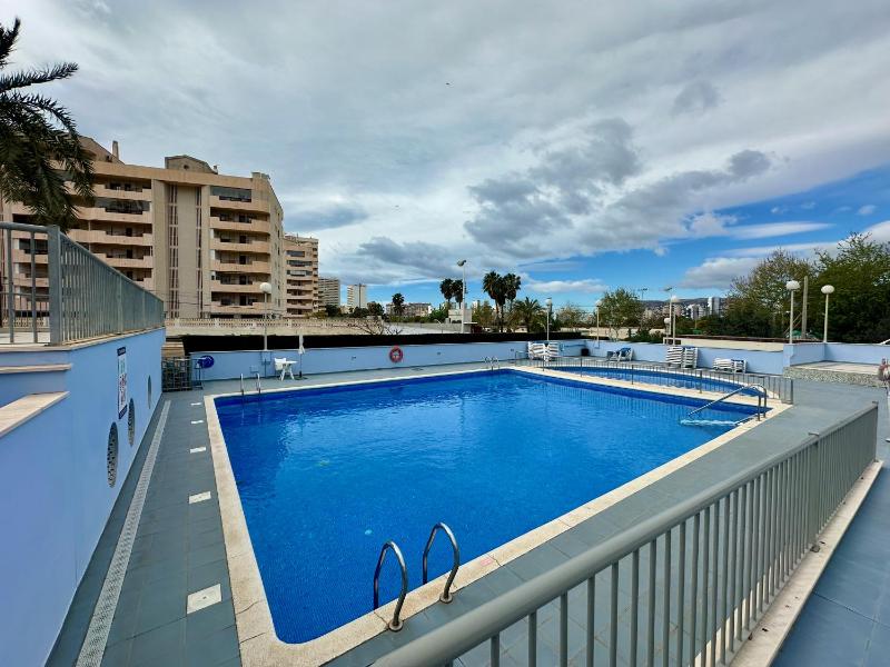 Hipocampos - image 7