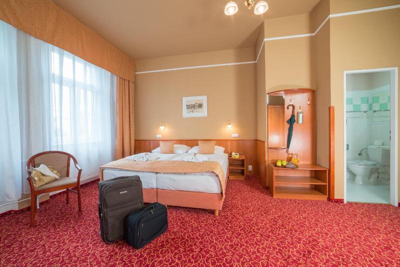Standard Double or Twin Room image 4