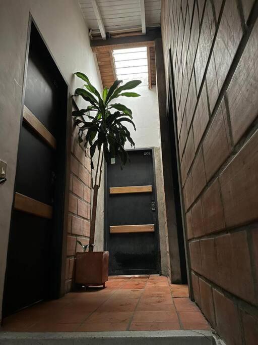 Apartamento en Laureles-Estadio Images