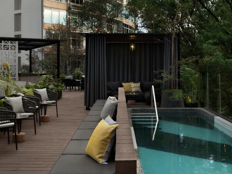 Kimpton Virgilio Polanco by IHG - image 13