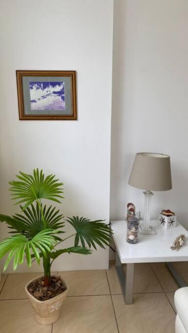 Miami Beachside Oceanfront Apartment - image 10