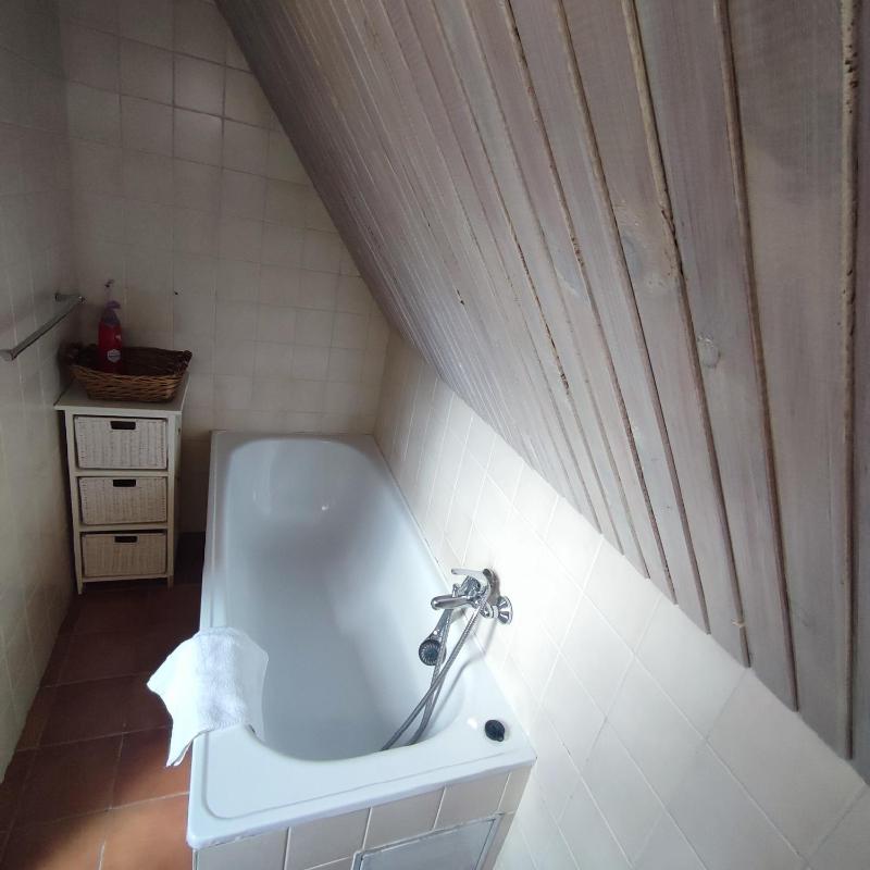 Family Room - Attic image 3