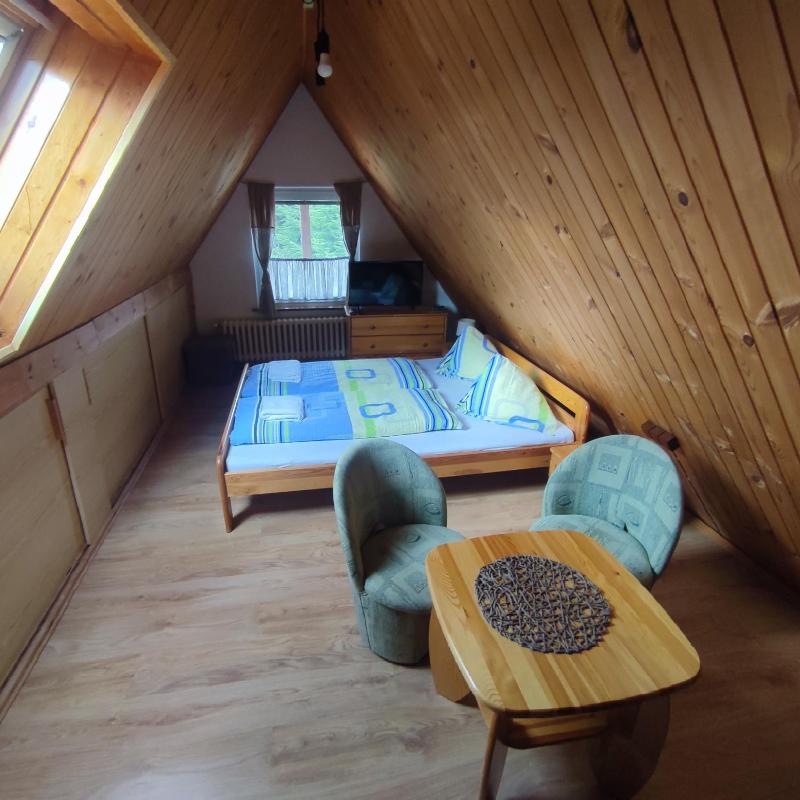 Family Room - Attic image 1