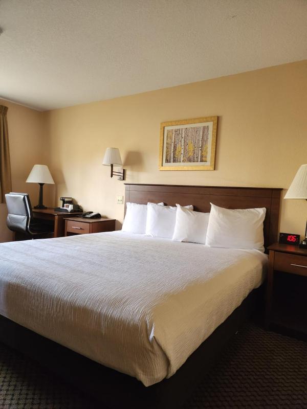Standard King Room image 3