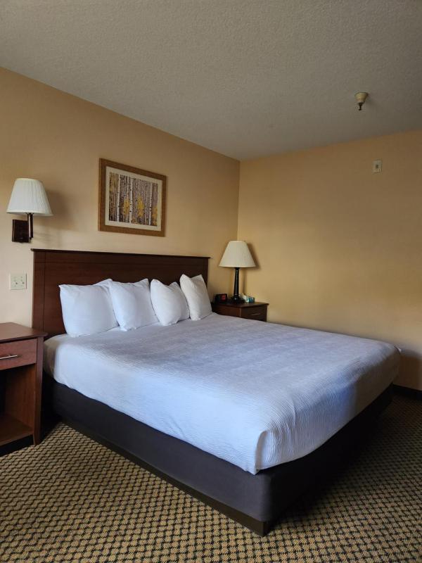 Standard King Room image 2
