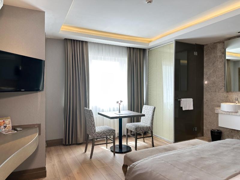 Standard Double or Twin Room image 2