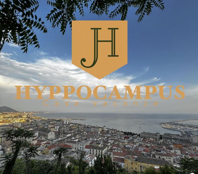 Casa vacanze Hippocampus - image 1