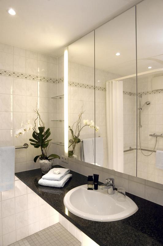 One-Bedroom Apartment image 2