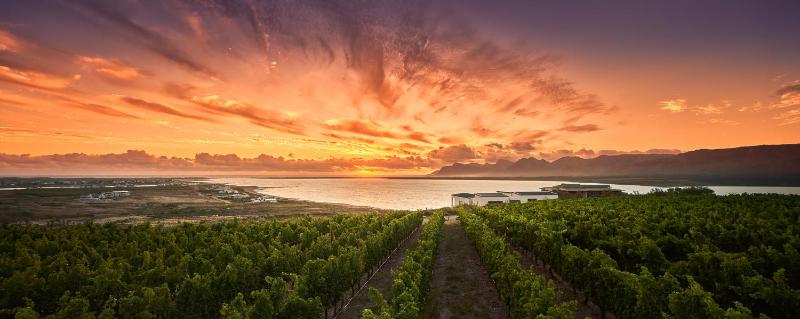 Benguela Cove - Milk and Honey - image 15