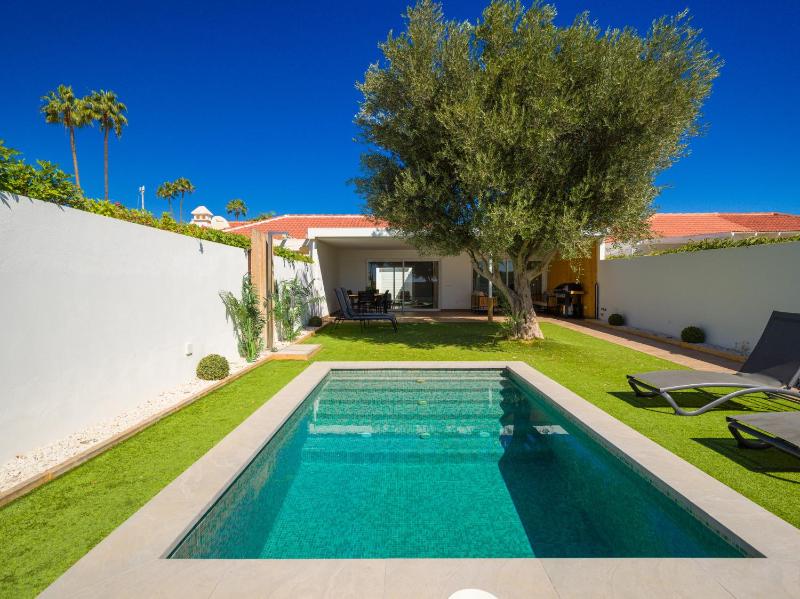 Pasito Blanco Villas - image 16