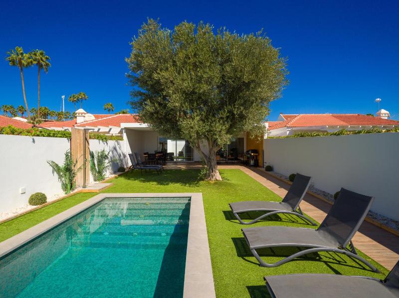 Pasito Blanco Villas - image 43