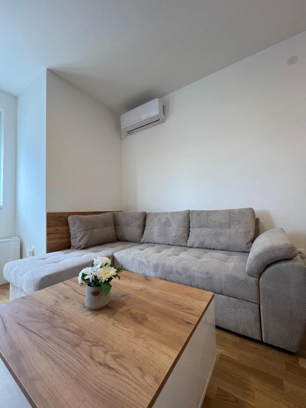 Tina Apartman Sokobanja - image 10