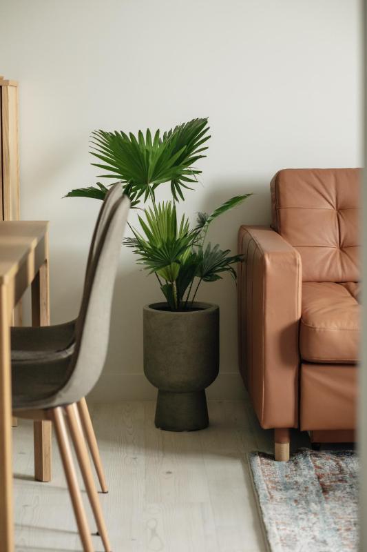 TS Colonial AirCo Apartment - image 17
