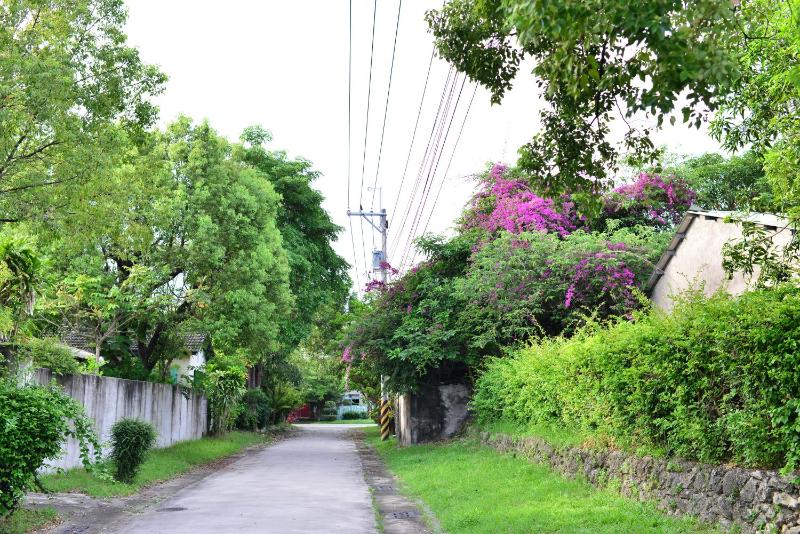 ZYIN Homestay - image 10