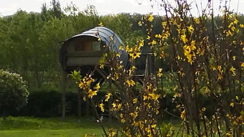 La haut Images