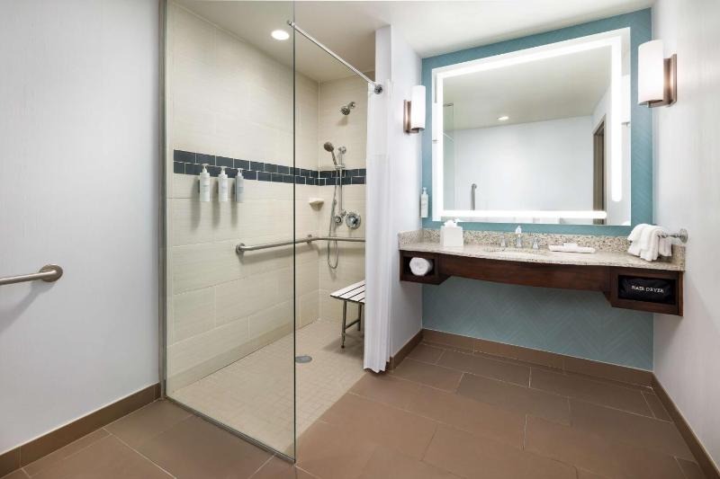 King Suite - Disability Access Hearing Accessible Roll-In Shower image 2