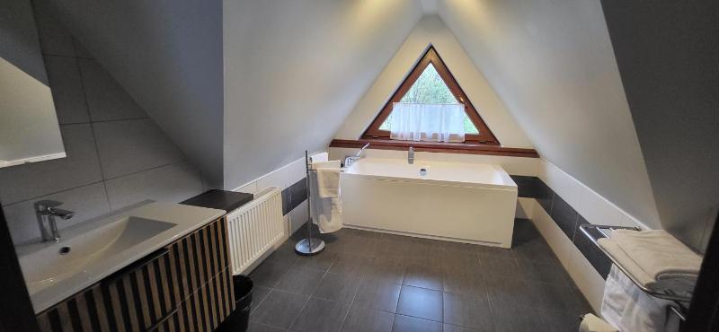 Deluxe Junior Suite (3 Guests) image 4