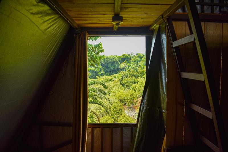 Finca Makambu - image 2