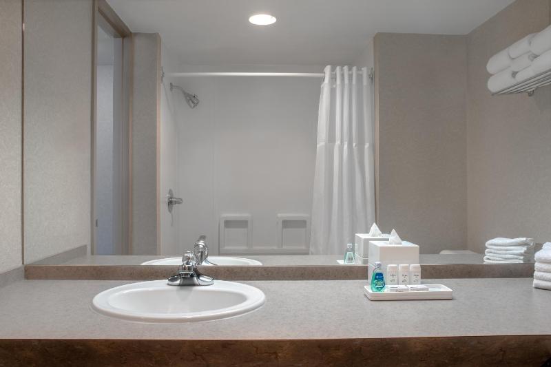 Ramada Plaza by Wyndham Calgary Downtown - image 13