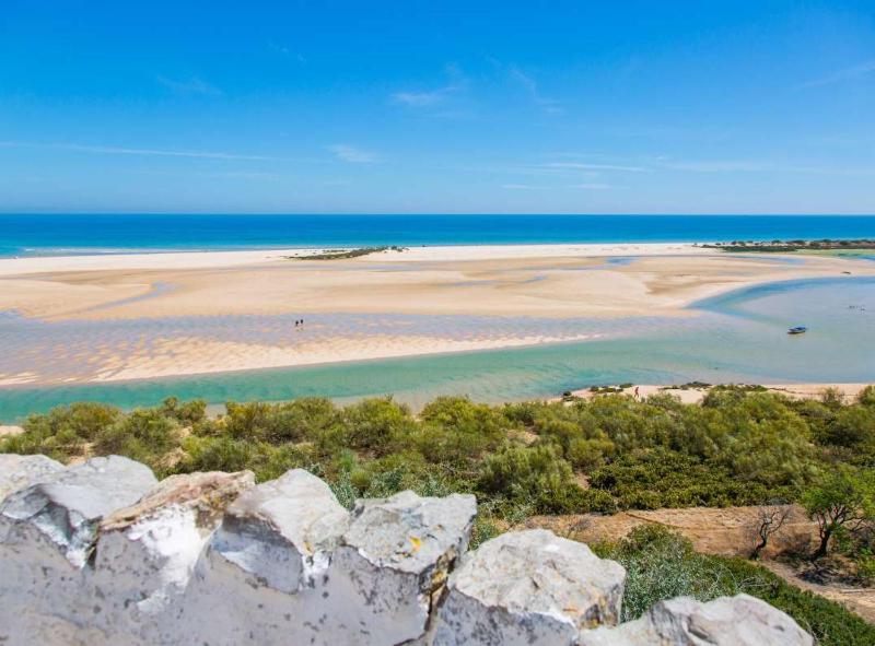 Kampaoh Tavira - image 2