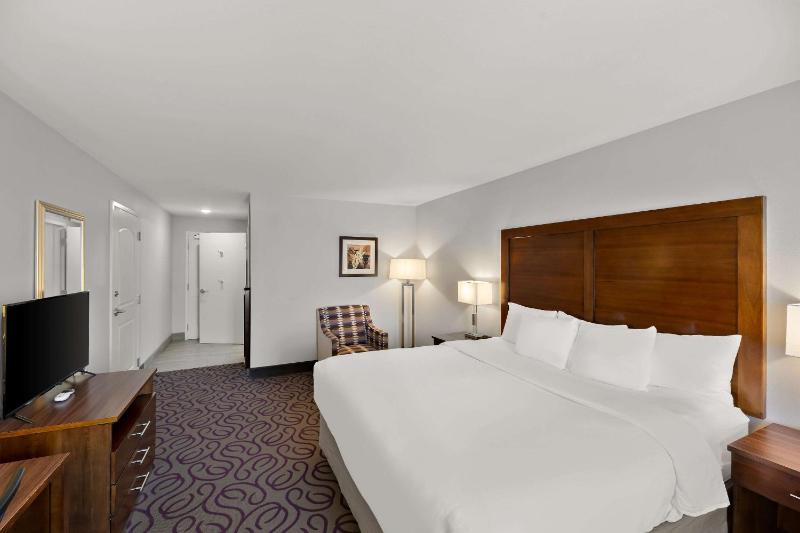 King Room - Disability Access/Non-Smoking image 4