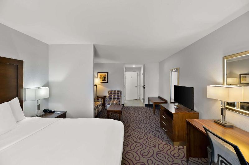 King Suite with Sofa Bed image 3