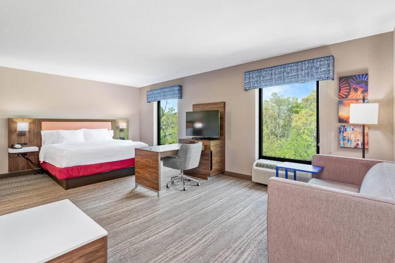 King Studio Suite with Sofa Bed - Non-Smoking image 2