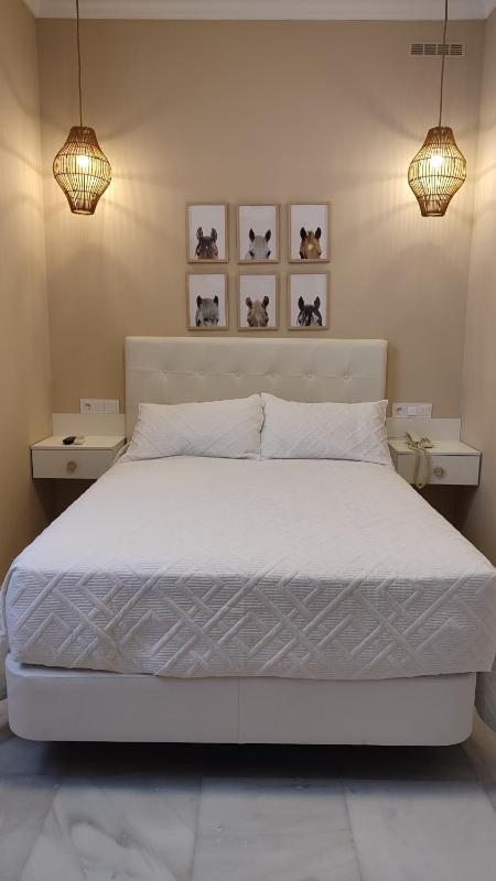 Single Room image 3